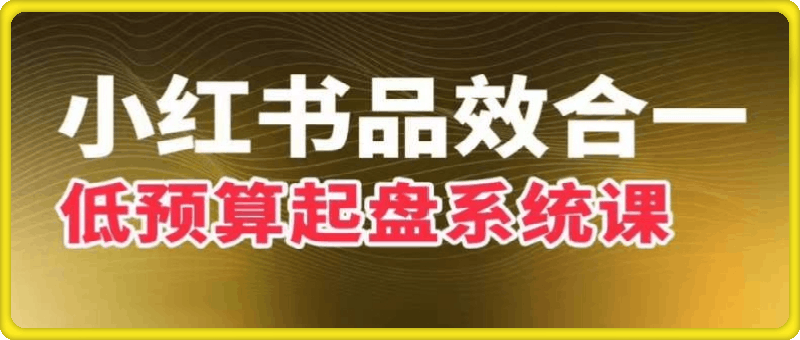迪安品效合一：小红书低预算起盘系统课