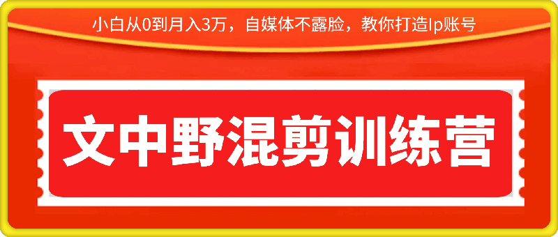 文中野混剪训练营教你打造Ip账号：小白从0到月入3万，自媒体不露脸，是如何做视频的