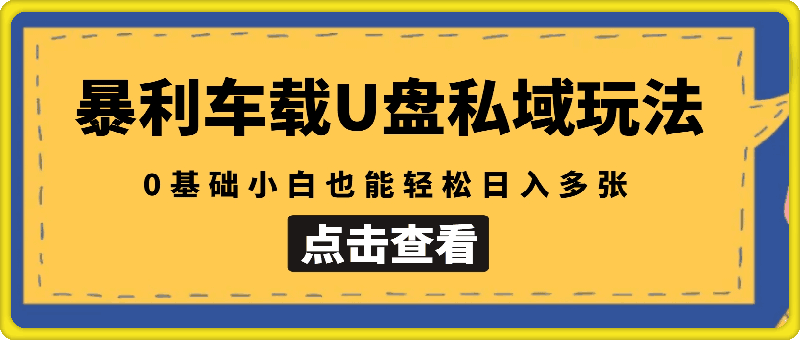 升级暴利车载U盘私域玩法，0基础小白也能轻松日入多张【揭秘】