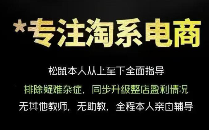 松鼠会电商VIP课程，从基础布局到高阶优化，助你掌握淘宝运营逻辑，提升店铺流量与转化(更新0910)